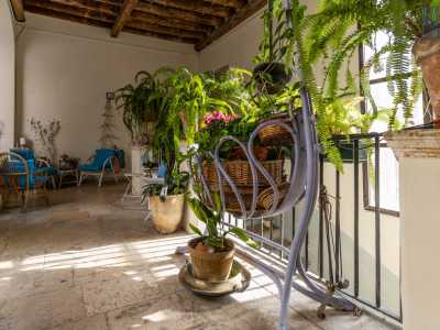 ...e abbellito da piante rigogliose poggiate in antiche culle